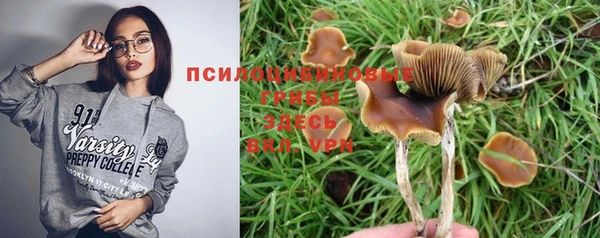 spice Лихославль