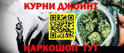 мдпв Гусев