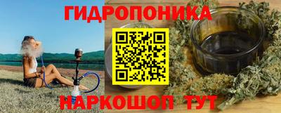 мдпв Гусев