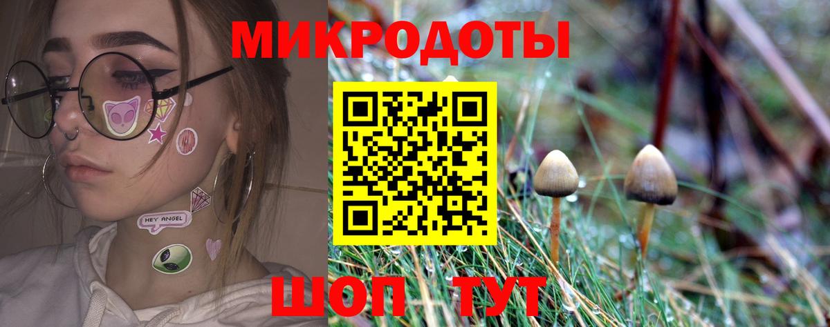 Псилоцибиновые грибы GOLDEN TEACHER Ижевск